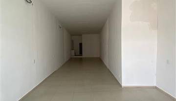 WhatsApp Image 2026-02-23 at 12.06.43.jpeg